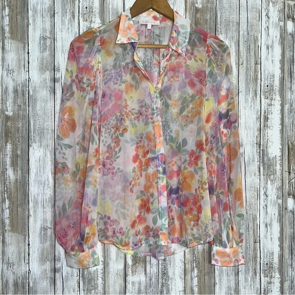 Olivaceous Sheer Lush Blooms Chiffon Button Up Fairy Whimsy Coquette Regencycore - Picture 2 of 9